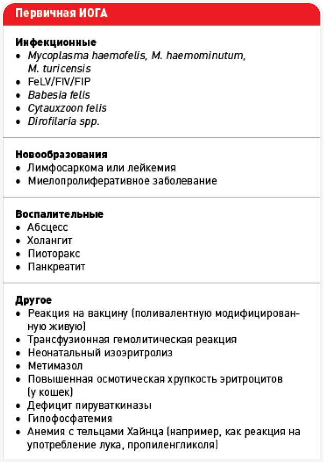 approach-table