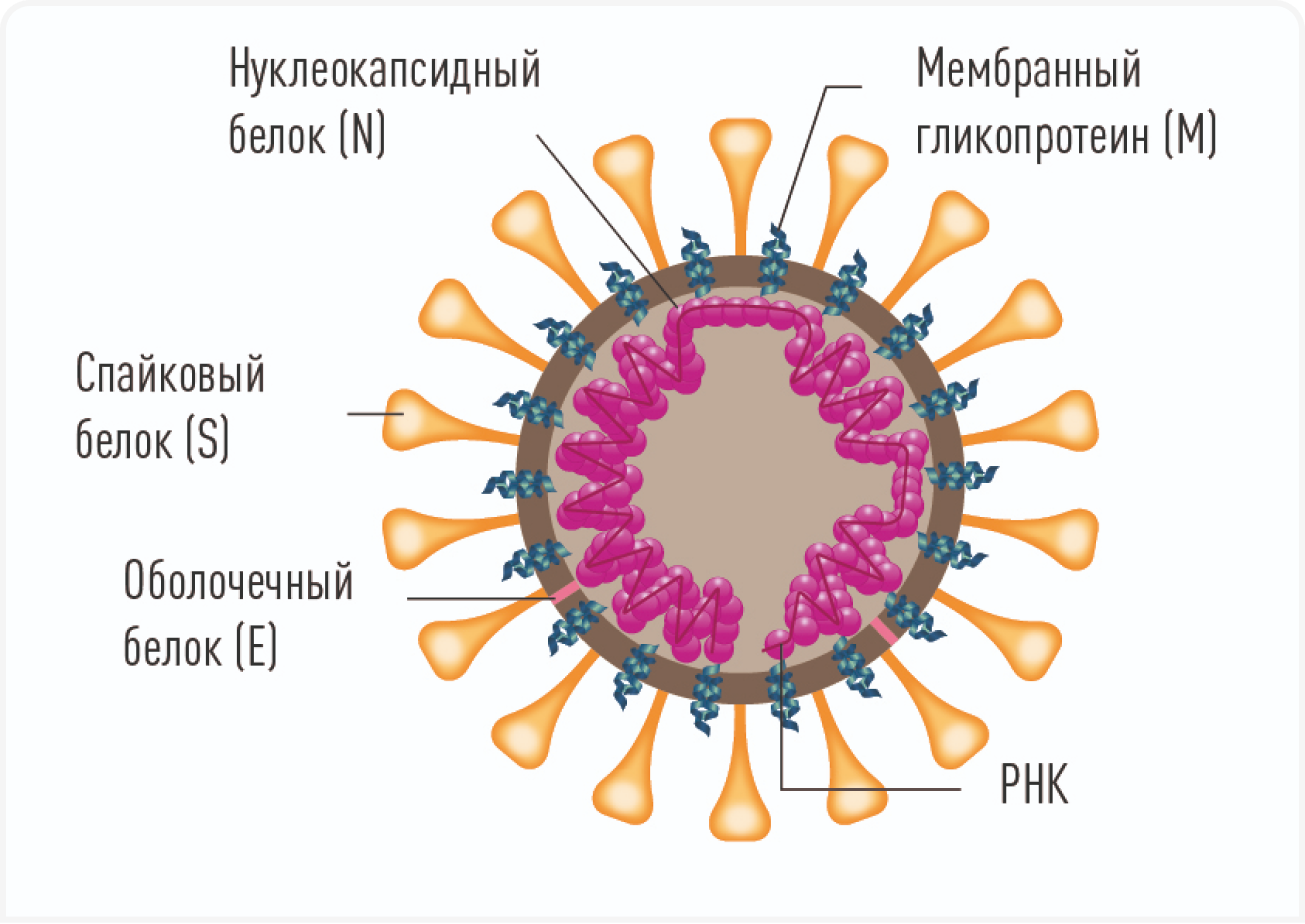 etiology-img
