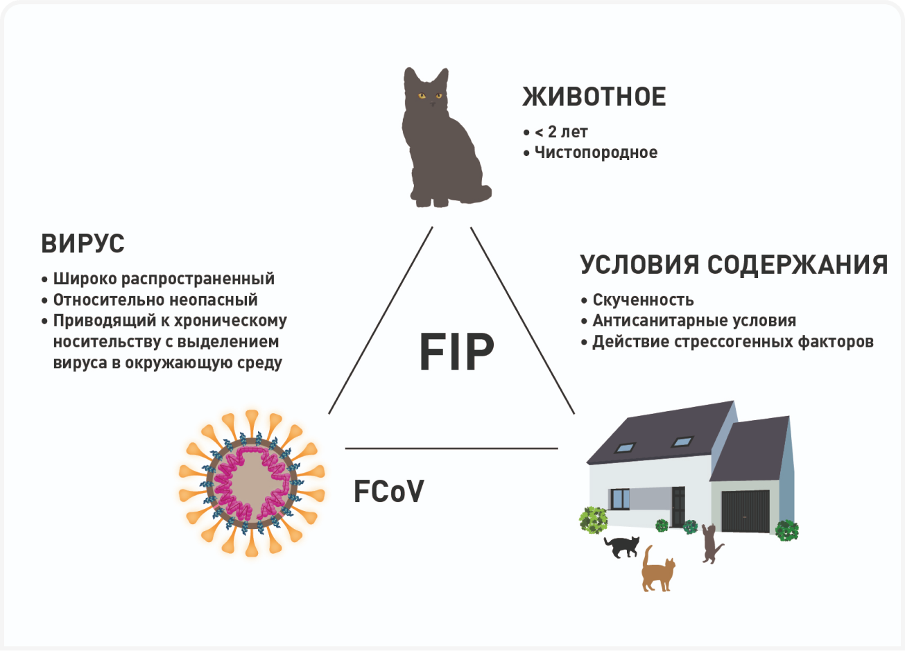 factors-img
