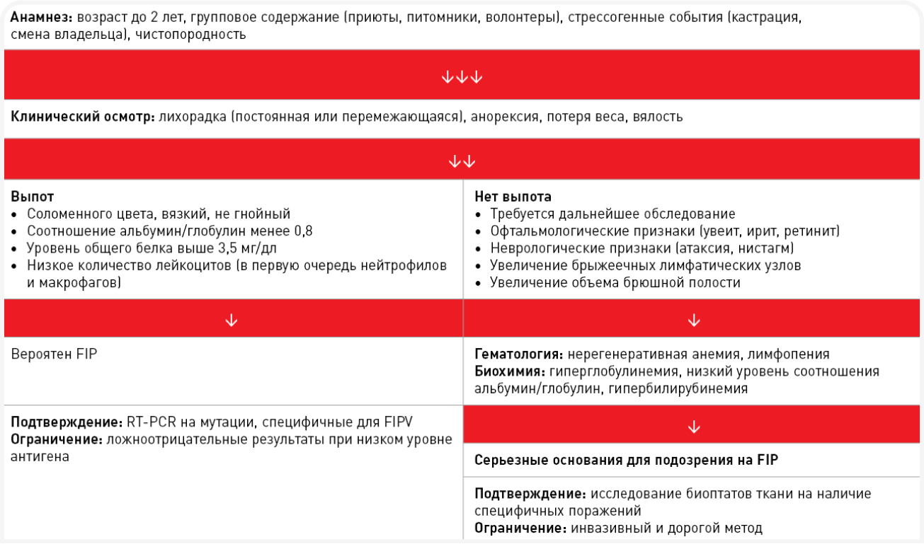 table-img