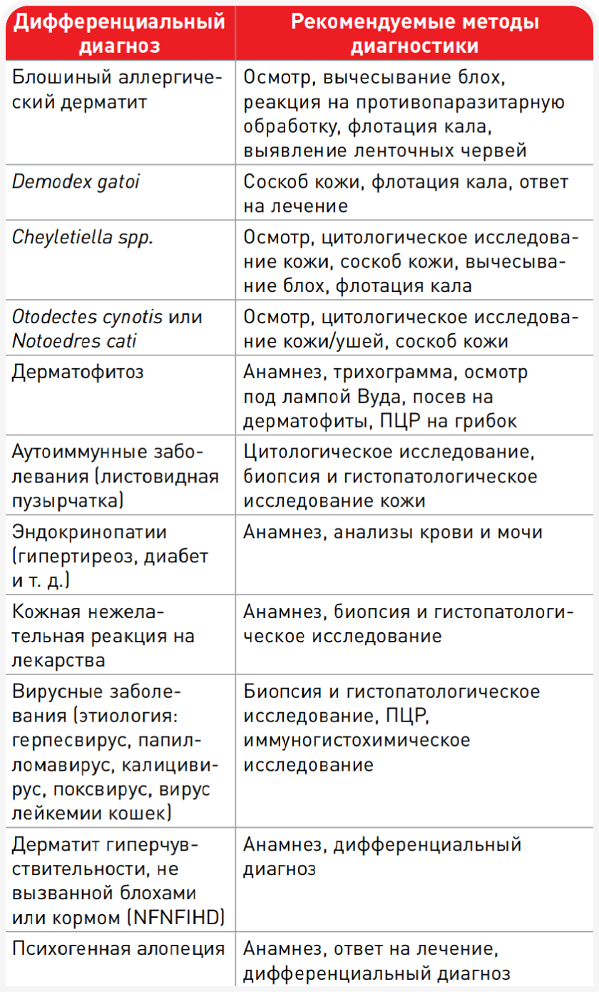 unordered list