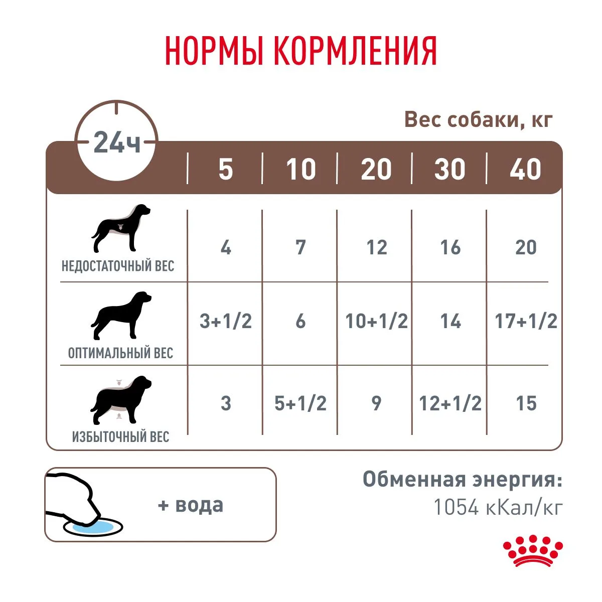 GASTROINTESTINAL (ПАШТЕТ)