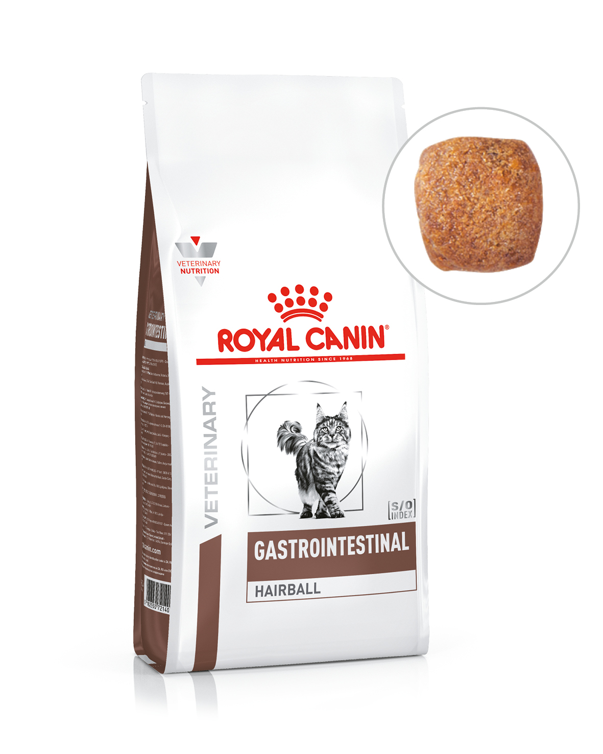 GASTROINTESTINAL HAIRBALL