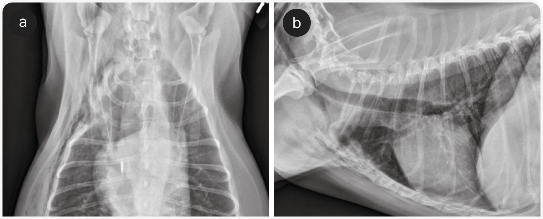 332_VF_Art5_Figure-5 (5).png