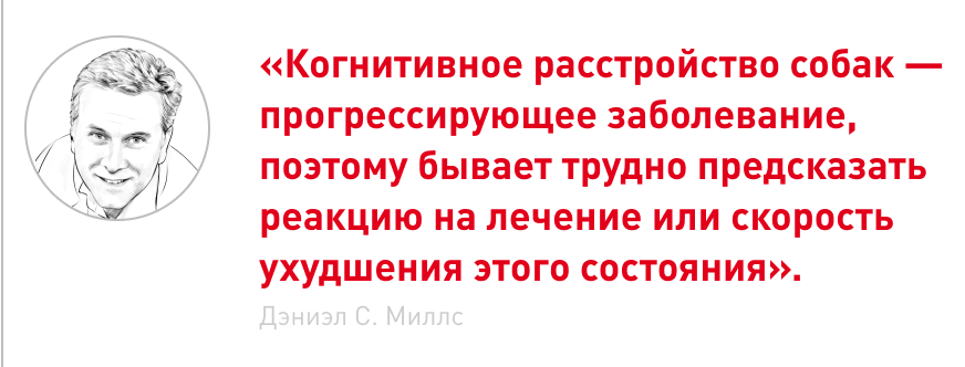 Frame 2087330852.png