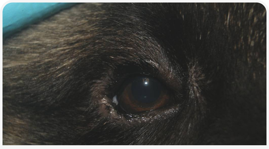 FOCUS (17).png