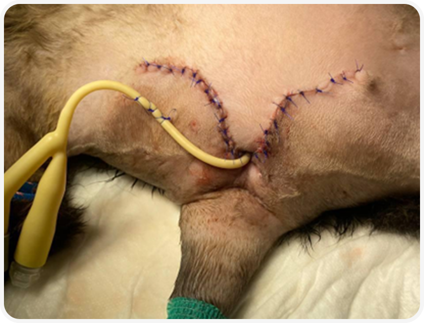 Frame 2087331109.png