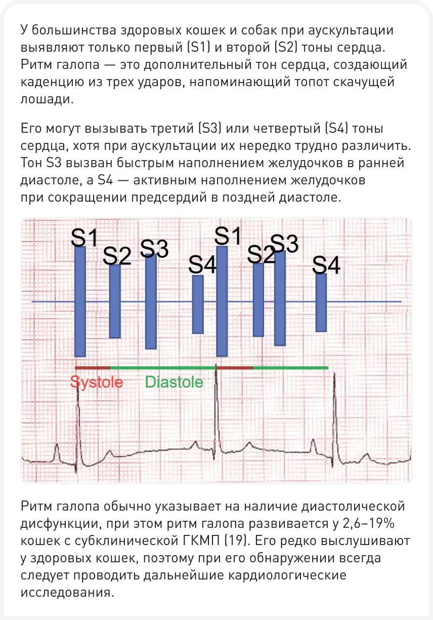 VF_313_Article-German-Figure-2a (1).png