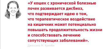 врезка.png