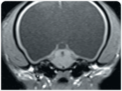 281_art5–Figure 2 (1).png