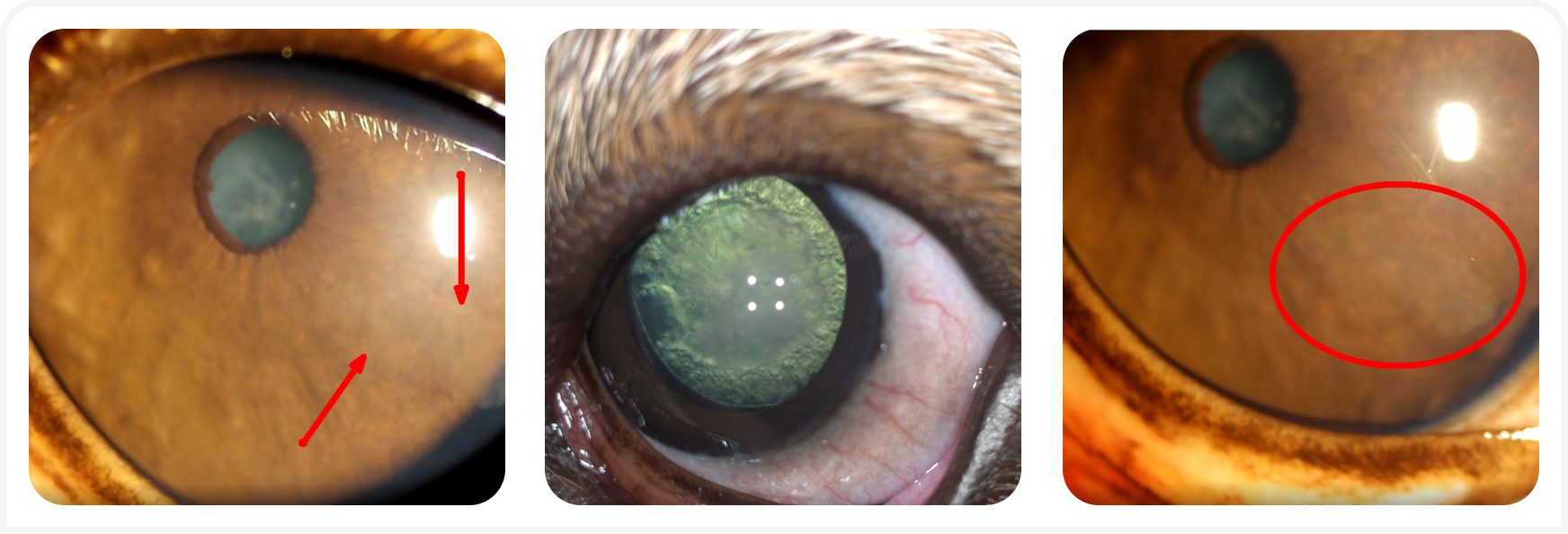 tabl.png