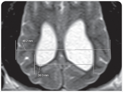 281_art5–Figure 2 (2).png