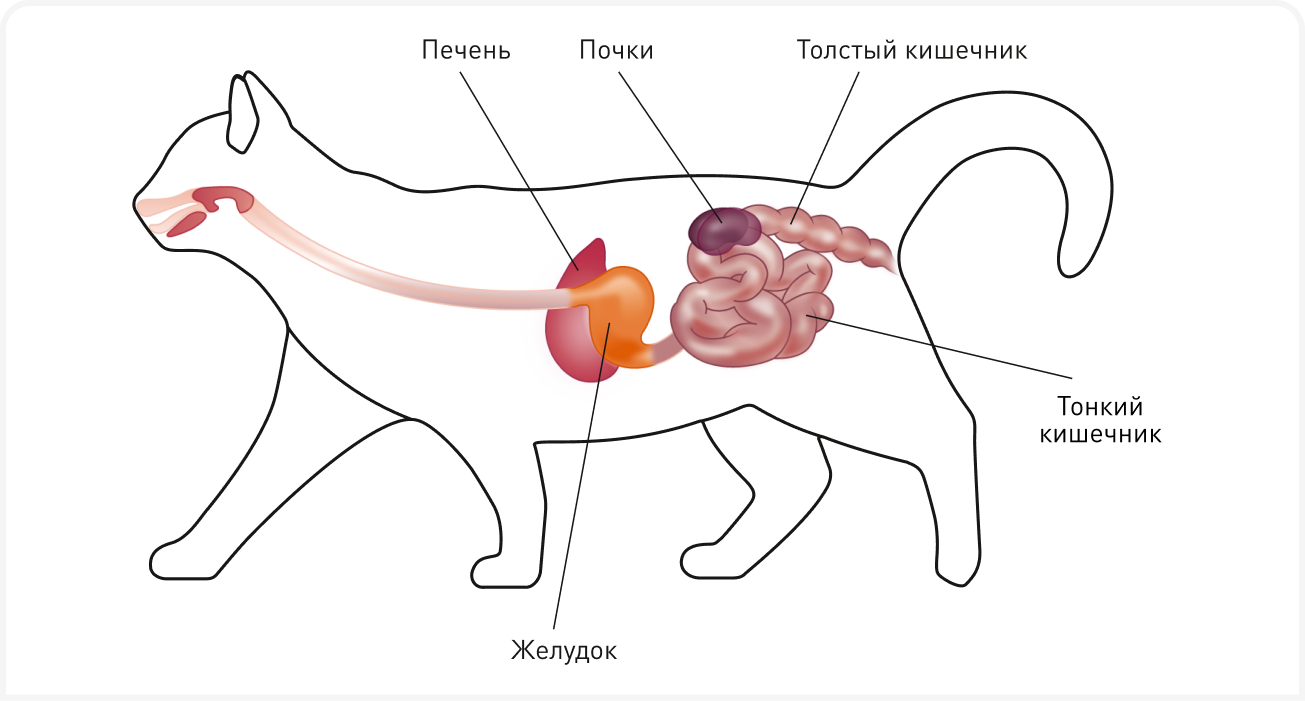 fig 1.png