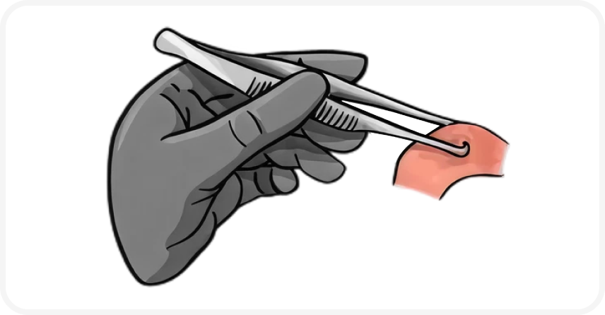 FOCUS_322_ELLIOTT_Figure-3 1.png