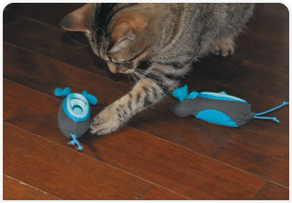FF-Figure 2_1 (2).png