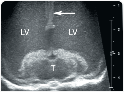 281_art5–Figure 1 (2).png