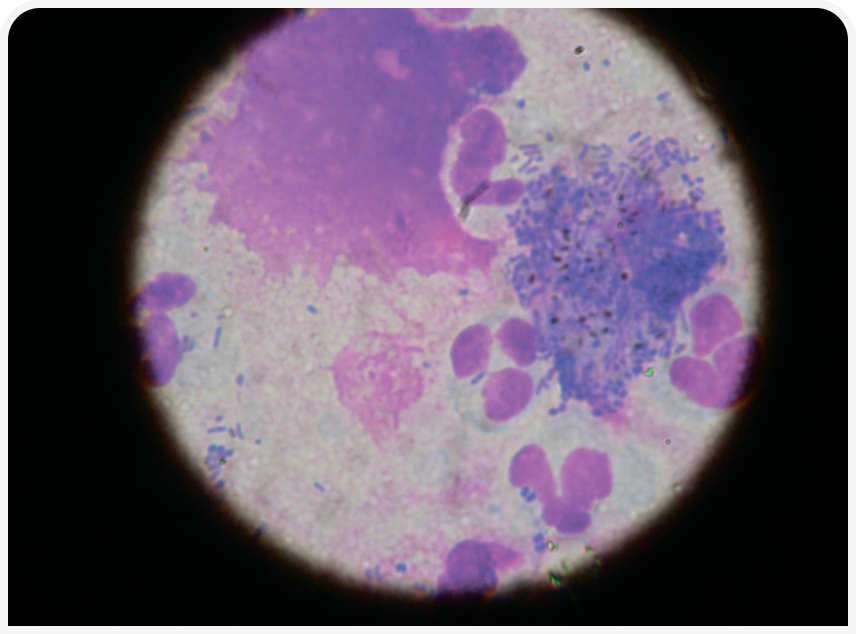 FOCUS-334-Leonard-Figure-4 (2).png