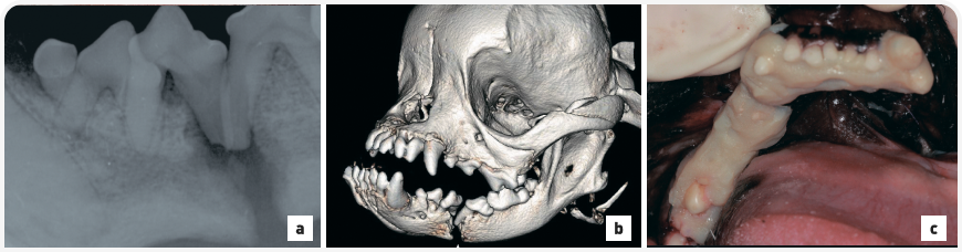 рис 7 (22).png