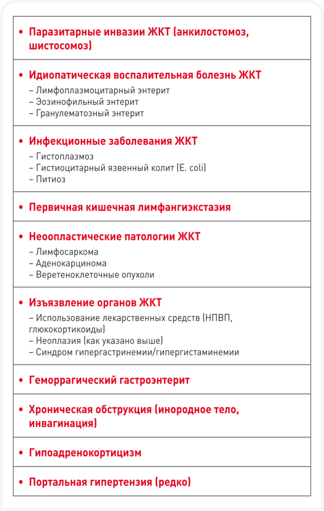 unordered list