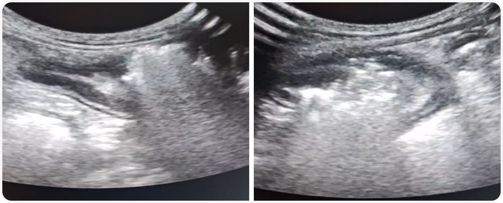 fig (1).png