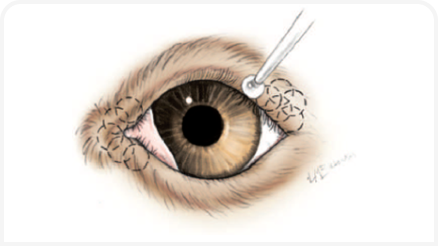 FOCUS (15).png