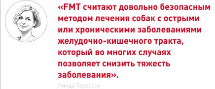 врезка.png