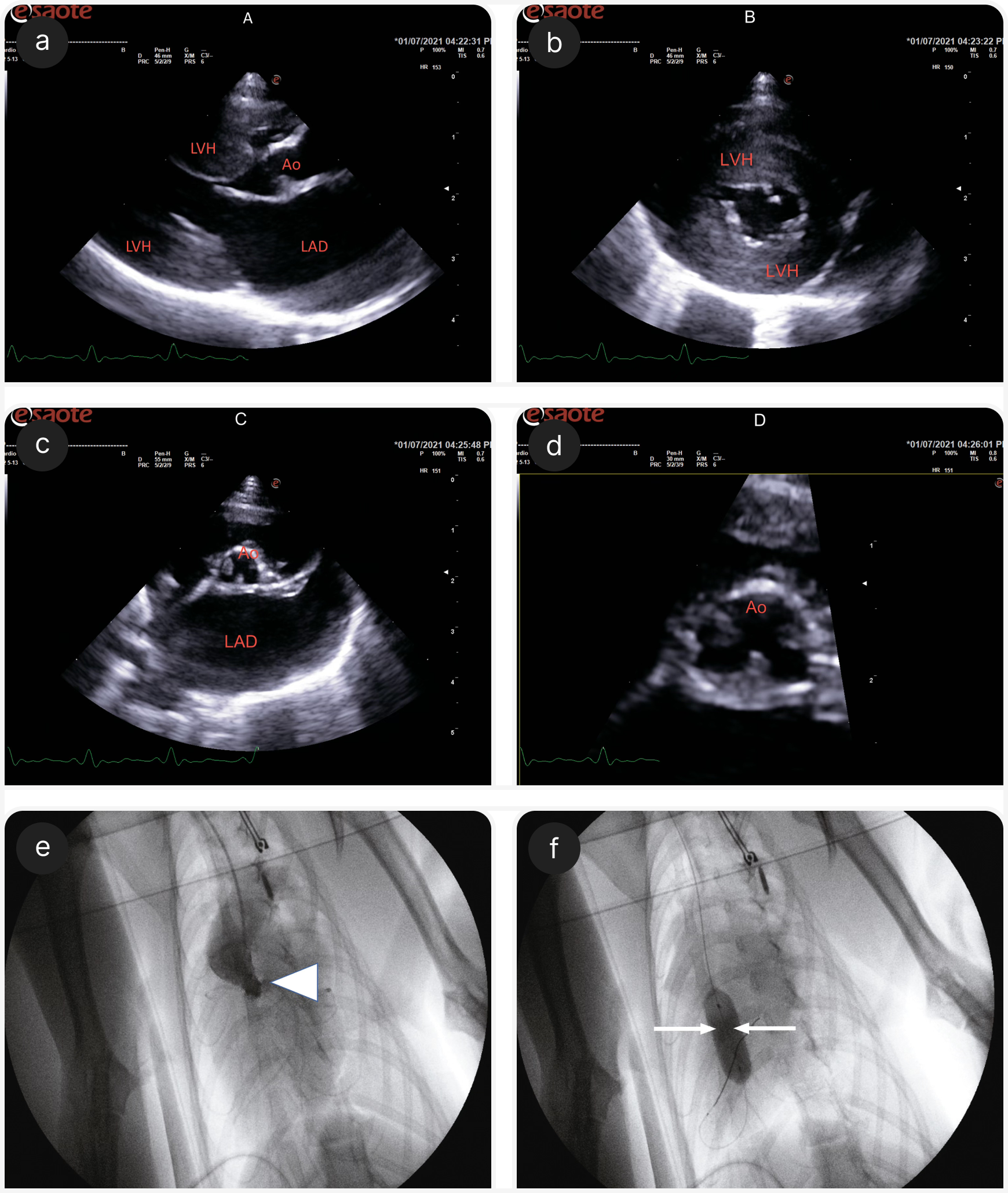 fig 1 (2).png