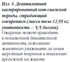 2020-01-20 12_25_25-Энциклопедия клинического питания кошек _ Ветеринарная академия Royal Canin.png