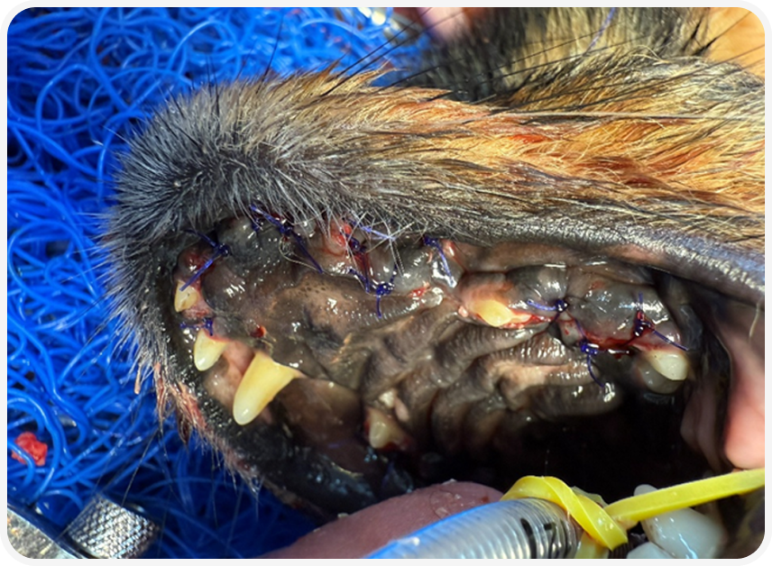 Frame 2087331109 (4).png