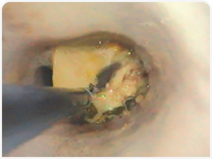 281_art5–Figure 2 (3).png