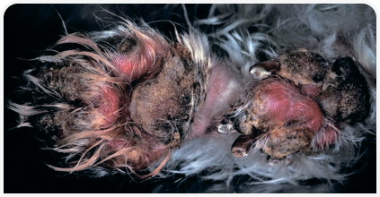 281_art5–Figure 7 1 (3).png