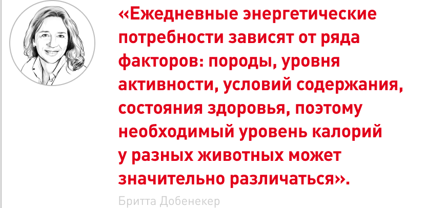 врезка.png