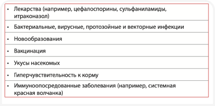 Снимок экрана 2023-05-19 в 15.22 1.png