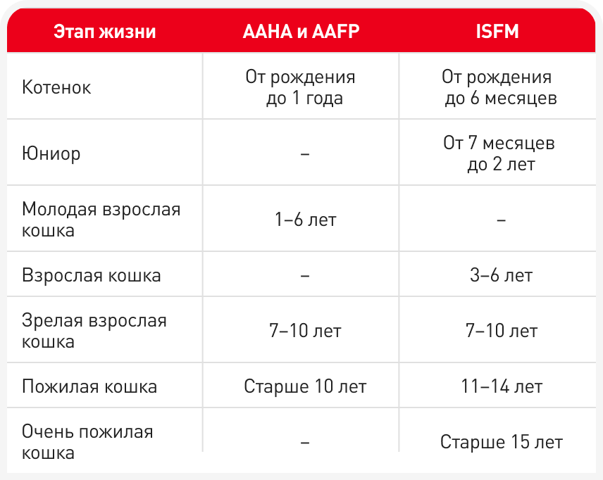 Таблица 1: Стадии жизни кошек по данным ведущих ветеринарных организаций