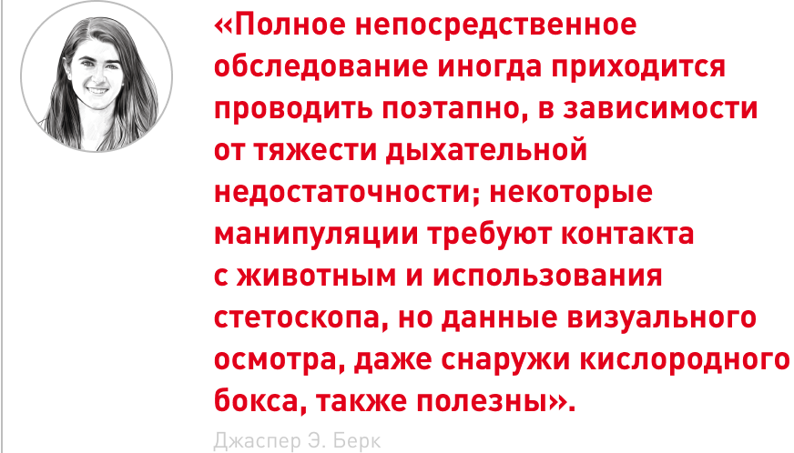 Frame 2087331091.png