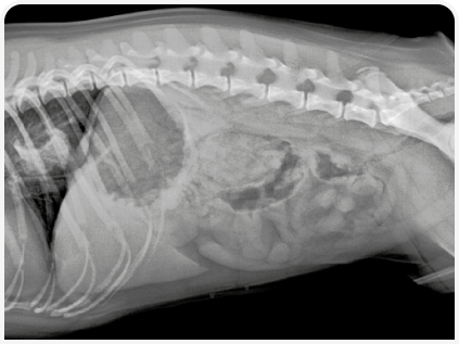 281_art5–Figure 3 (2).png