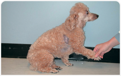 281_GOODALE_Figure 3 1.png