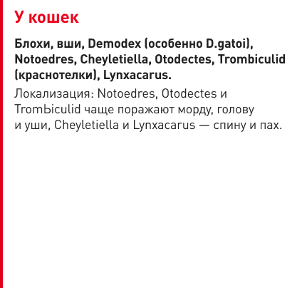 tabl 1 (1).png