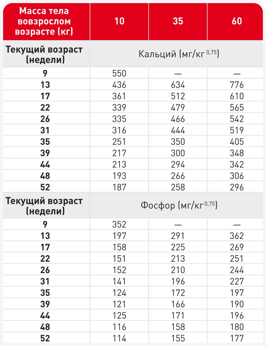 tabl1.png