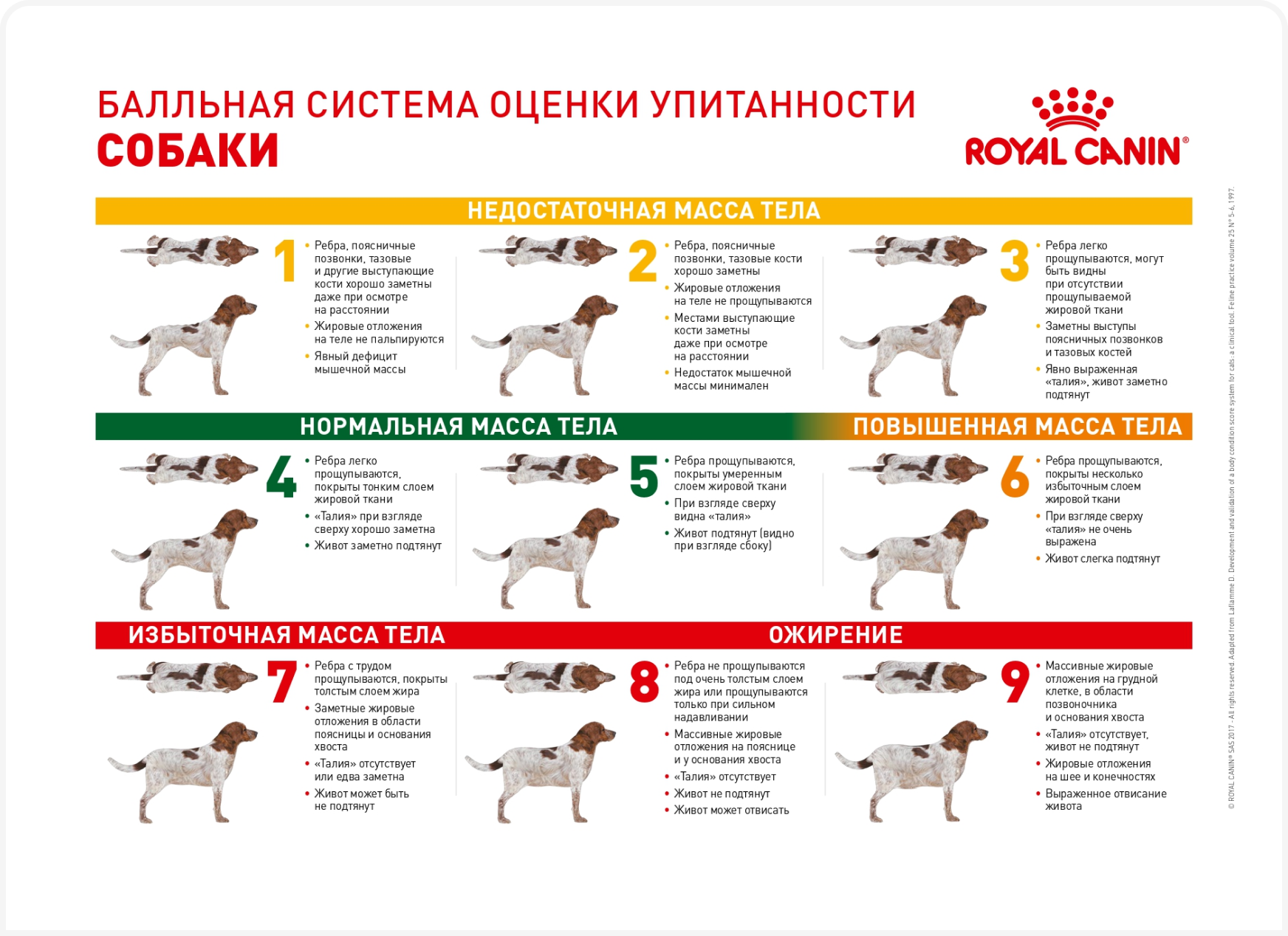 tabl 1 (2).png