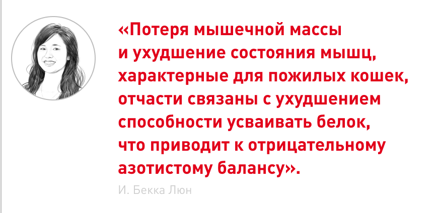 врезка (1).png