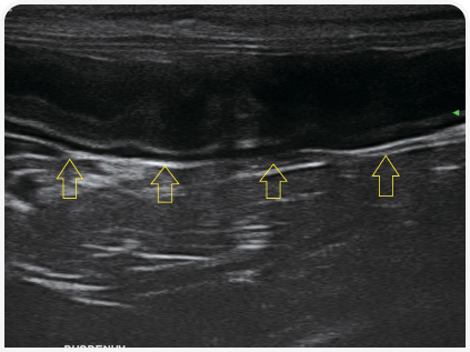 281_art5–Figure 2 (1).png