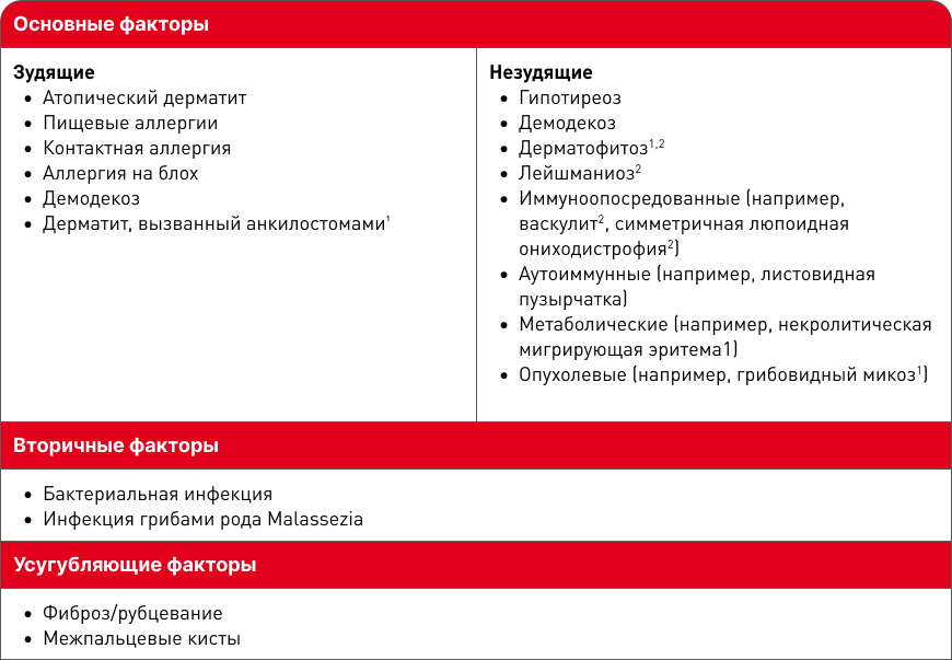 Table.png
