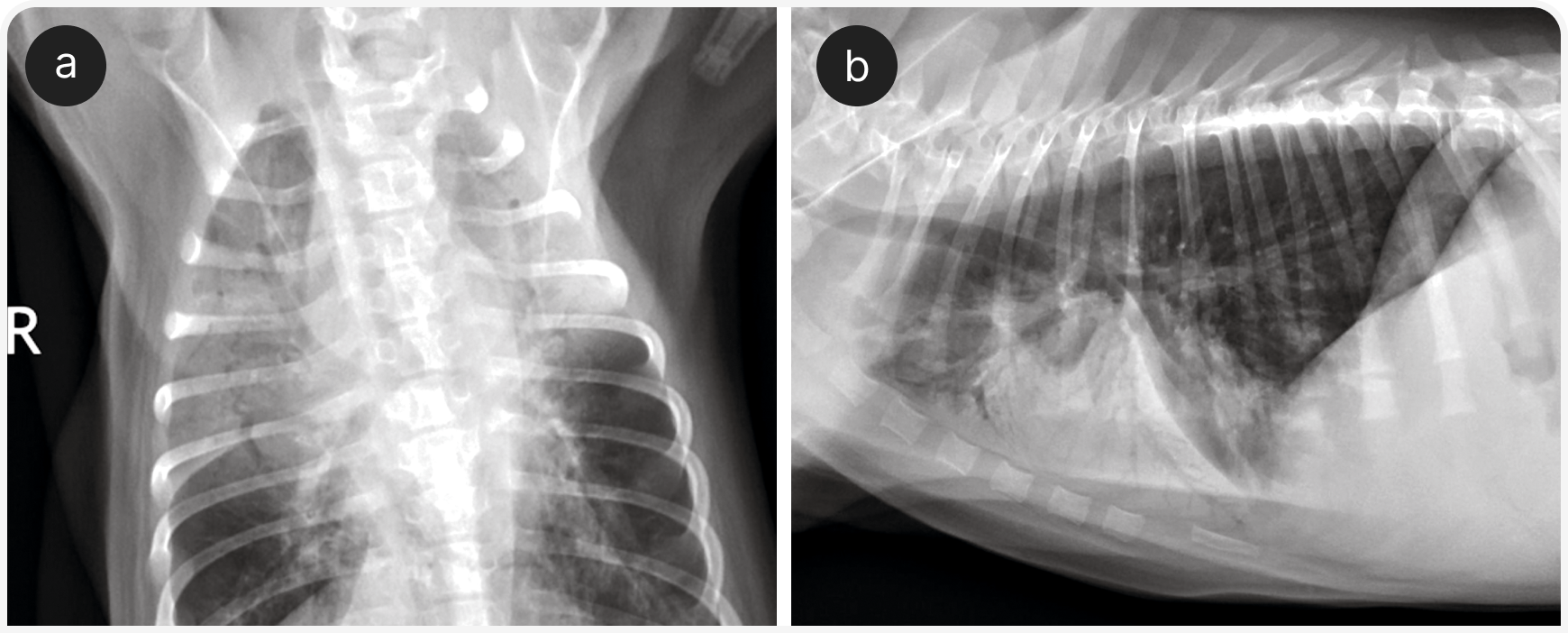 332_VF_Art5_Figure-5 (1).png