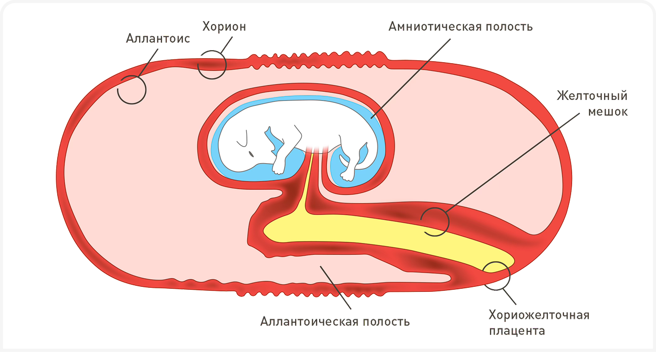fig 1 (1).png