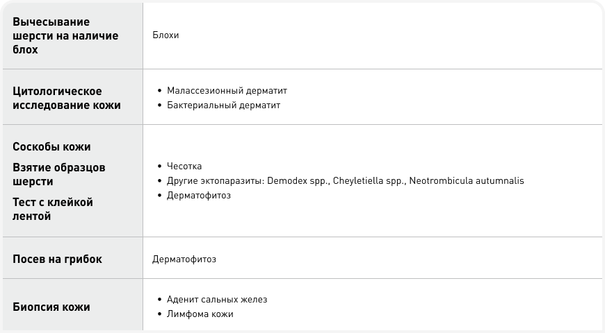 Диалог 2 (2).png