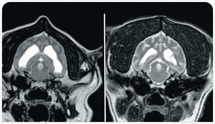 281_art5–Figure 1 (4).png