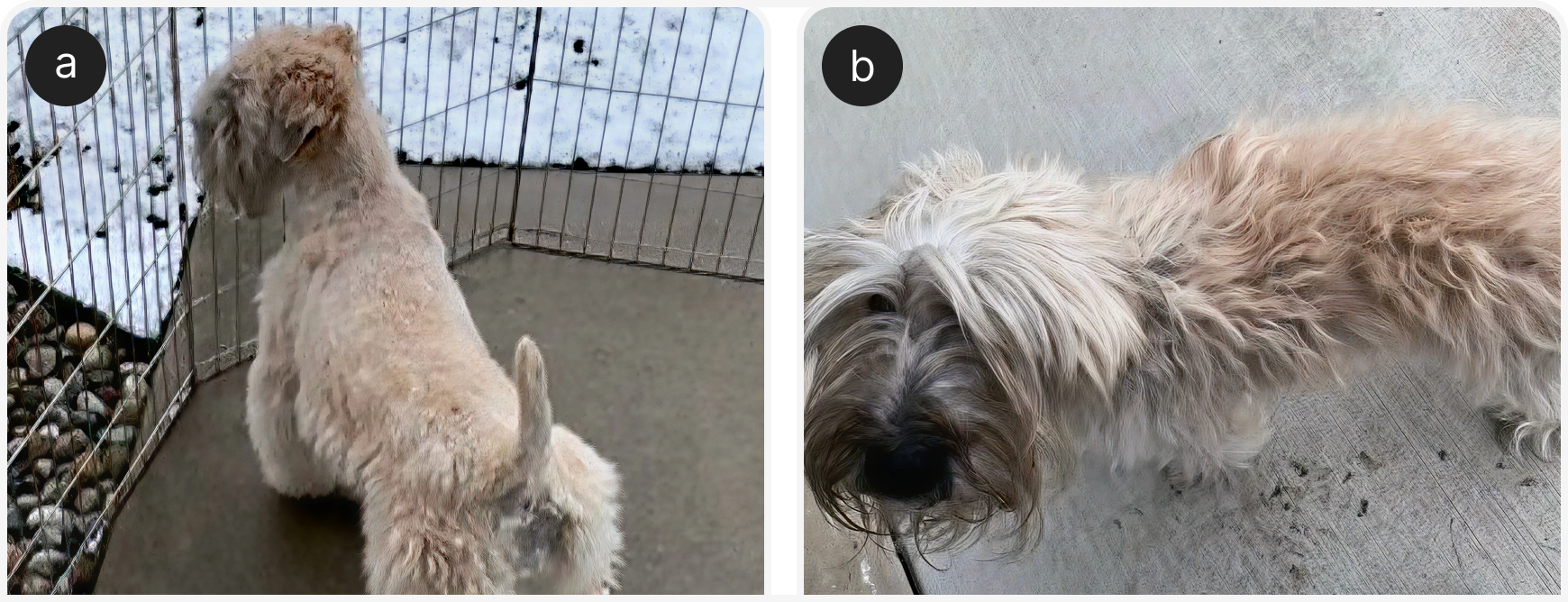 fig 1 (1).png
