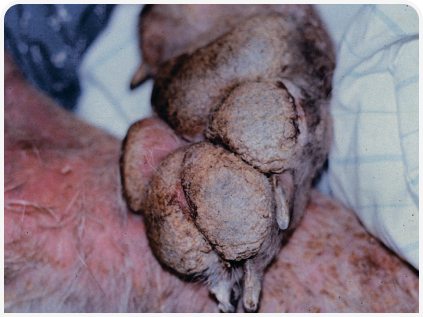 281_art5–Figure 1.png