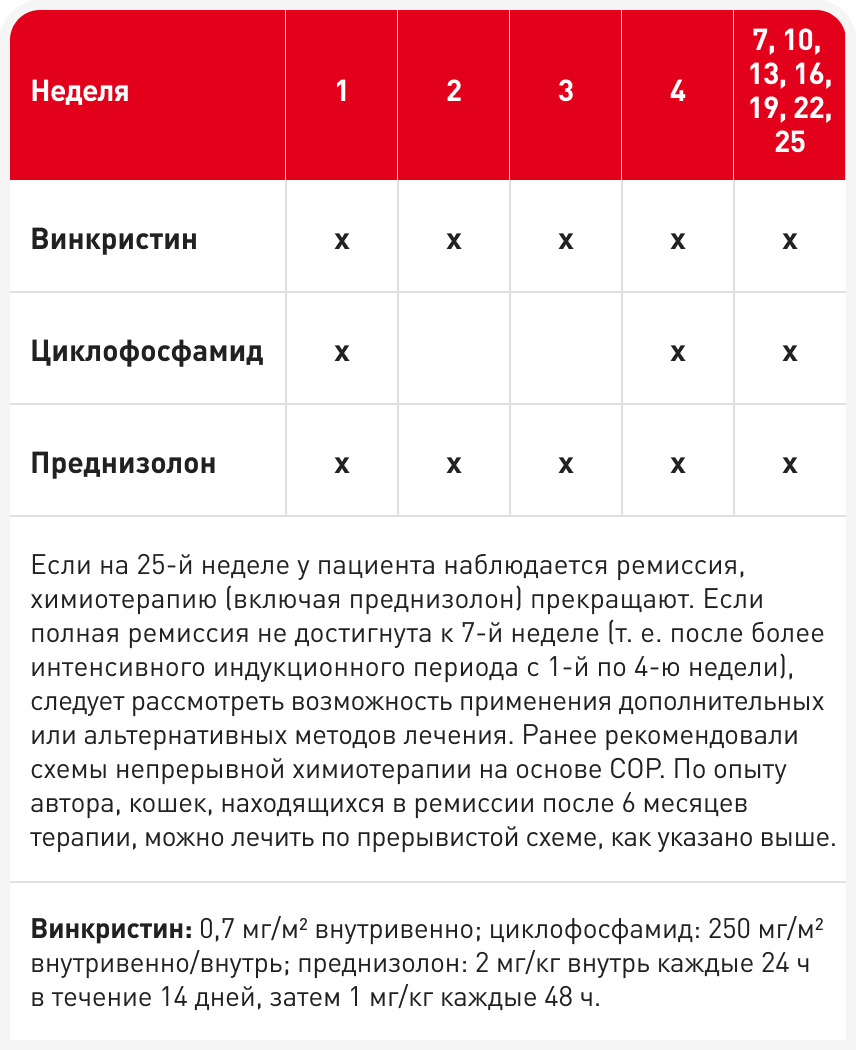 tabl1.png
